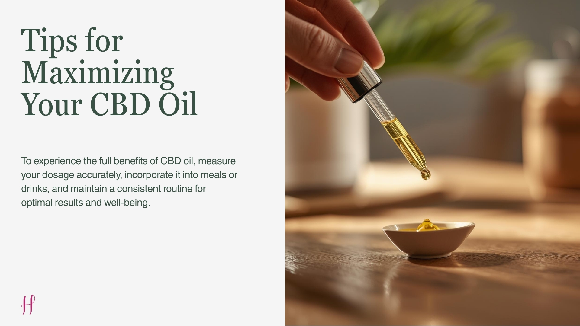 CBD oil dropper showing accurate dosage tips for maximizing benefits through consistent daily use